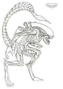 Rating: Explicit Score: 0 Tags: alien alien_(franchise) inner_mouth male male_xenomorph notorious84 rule34 solo_feral tagme xenomorph User: bunchy7s Rating: Explicit Score: 0 Tags: alien alien_(franchise) inner_mouth male male_xenomorph notorious84 rule34 solo_feral tagme xenomorph User: bunchy7s