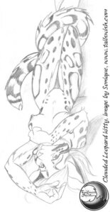 Rating: Explicit Score: 0 Tags: anthro biped breasts clouded_leopard e621 felid female genitals greyscale hair hand_lick licking looking_at_viewer lying mammal monochrome nipples nude pantherine personal_grooming self_lick sketch solo sonique tail thigh_gap tongue tongue_out vulva User: bunchy7s