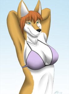 Rating: Safe Score: 0 Tags: aleso alice_(aleso) anthro black_nose bra breasts canid canine cleavage clothed clothing e621 female green_eyes hair mammal orange_hair outside simple_background sky skyscape smile solo underwear User: bunchy7s