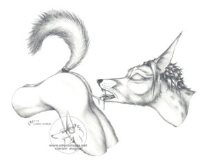 Rating: Explicit Score: 0 Tags: 2004 ambiguous_gender anthro cunnilingus duo e621 ecmajor eyes_closed female greyscale monochrome oral raised_tail sex tail traditional_media_(artwork) vaginal wet User: bunchy7s Rating: Explicit Score: 0 Tags: 2004 ambiguous_gender anthro cunnilingus duo e621 ecmajor eyes_closed female greyscale monochrome oral raised_tail sex tail traditional_media_(artwork) vaginal wet User: bunchy7s