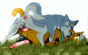 Rating: Explicit Score: 0 Tags: anal anal_sex animal_genitalia animal_penis anus balls bite blood canid canine canine_genitalia canine_penis canis dangerdoberman domestic_dog gay gin_(ginga) ginga_(series) hanna-barbera knot male male_only mammal penis rule34 scooby-doo scooby-doo_(character) yaoi User: bunchy7s