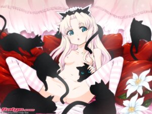 Rating: Explicit Score: 0 Tags: aqua_eyes blush breasts censored convenient_censoring feline female flower galge.com long_hair nipples nude onija_taro onija_tarou onji_taro pillow pink_hair rule34 spread_legs stockings striped striped_legwear striped_thighhighs tail tail_censor thighhighs wallpaper User: bunchy7s