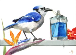 Rating: Safe Score: 0 Tags: 2011 3_toes ambiguous_gender avian beak biped bird bird_of_paradise_(flower) black_beak black_eyes black_legs blue_body blue_feathers blue_jay bottle chons-48 cologne container corvid dripping e621 feathered_wings feathers feet feral flower hi_res jay_(bird) looking_at_viewer mouth_hold new_world_jay orange_flower oscine passerine perfume plant realistic red_flower rictal_bristles signature simple_background solo standing toes traditional_media_(artwork) water white_background white_body white_feathers wings User: bunchy7s Rating: Safe Score: 0 Tags: 2011 3_toes ambiguous_gender avian beak biped bird bird_of_paradise_(flower) black_beak black_eyes black_legs blue_body blue_feathers blue_jay bottle chons-48 cologne container corvid dripping e621 feathered_wings feathers feet feral flower hi_res jay_(bird) looking_at_viewer mouth_hold new_world_jay orange_flower oscine passerine perfume plant realistic red_flower rictal_bristles signature simple_background solo standing toes traditional_media_(artwork) water white_background white_body white_feathers wings User: bunchy7s