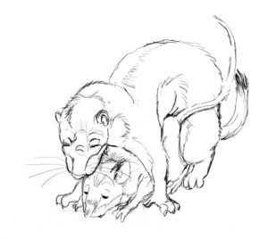 Rating: Explicit Score: 0 Tags: all_fours anal anal_penetration doggystyle duo e621 eyes_closed feral feral_on_feral feral_penetrated feral_penetrating feral_penetrating_feral from_behind_position male male/male male_penetrated male_penetrating male_penetrating_male mammal monochrome mouse murid murine mustelid musteline penetration penile penile_penetration penis_in_ass rodent selwyn sex tail true_musteline weasel weasely User: bunchy7s Rating: Explicit Score: 0 Tags: all_fours anal anal_penetration doggystyle duo e621 eyes_closed feral feral_on_feral feral_penetrated feral_penetrating feral_penetrating_feral from_behind_position male male/male male_penetrated male_penetrating male_penetrating_male mammal monochrome mouse murid murine mustelid musteline penetration penile penile_penetration penis_in_ass rodent selwyn sex tail true_musteline weasel weasely User: bunchy7s