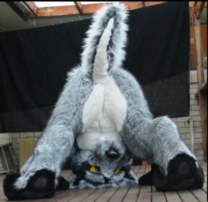 Rating: Safe Score: 0 Tags: aethas butt canid canine canis clothing costume e621 fursuit grandfathered_content looking_through looking_through_legs low_res male mammal ozkangaroo raised_tail real solo tail upside_down wolf User: bunchy7s