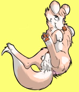 Rating: Explicit Score: 0 Tags: animal_genitalia balls canid canine canis domestic_dog e621 feral fur genitals male mammal nude onigrift penis penis_tip pink_body pink_fur sheath solo spread_legs spreading tail User: bunchy7s