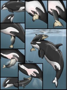 Rating: Explicit Score: 0 Tags: 3:4 animal_genitalia animal_vulva aquatic belly big_belly birth cetacean cetacean_genitalia cetacean_vulva comic dolorcin dolphin e621 female feral genitals group hi_res mammal neonate oceanic_dolphin orca pregnant toothed_whale vulva young User: bunchy7s