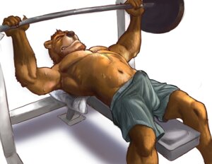 Rating: Explicit Score: 0 Tags: 1boy accidental_circumstance accidental_erection anthro armpits barbell bear bench_press bulge cum erection furry leonhusky male male_only mr._honeybum muscles penis rule34 solo sweat weightlifting weights User: bunchy7s