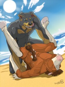 Rating: Explicit Score: 0 Tags: 2011 3:4 anal anal_penetration animal_genitalia animal_penis anthro anthro_on_anthro balls beach biceps big_penis canid canine canis detailed_background domestic_dog duo e621 equid equine equine_genitalia equine_penis erection eyes_closed flared_penis genitals green_eyes hi_res horse interspecies male male/male male_penetrated male_penetrating male_penetrating_male mammal mastiff molosser musclegut muscular numwolf outside penetration penis rottweiler sand seaside sex sex_on_the_beach slightly_chubby summer titanrockwell User: bunchy7s