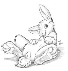 Rating: Explicit Score: 0 Tags: 2008 e621 female feral flinters fur genitals lagomorph leporid lying mammal monochrome on_back open_mouth presenting presenting_vulva rabbit simple_background solo vulva white_background User: bunchy7s Rating: Explicit Score: 0 Tags: 2008 e621 female feral flinters fur genitals lagomorph leporid lying mammal monochrome on_back open_mouth presenting presenting_vulva rabbit simple_background solo vulva white_background User: bunchy7s