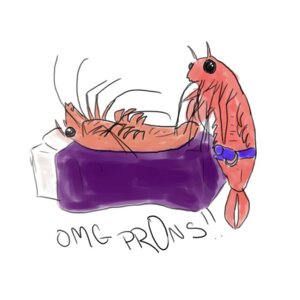 Rating: Explicit Score: 0 Tags: 1:1 ambiguous/ambiguous ambiguous_gender aquatic arthropod bed crustacean dildo duo e621 furniture humor lying on_back pun sex sex_toy shrimp simple_background strapon unknown_artist white_background User: bunchy7s Rating: Explicit Score: 0 Tags: 1:1 ambiguous/ambiguous ambiguous_gender aquatic arthropod bed crustacean dildo duo e621 furniture humor lying on_back pun sex sex_toy shrimp simple_background strapon unknown_artist white_background User: bunchy7s