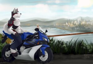 Rating: Safe Score: 0 Tags: abs anthro biceps biker black_nose bridge canid canine canis city claws clothed clothing e621 fur grey_body grey_fur male mammal motorcycle muscular muscular_anthro muscular_male no_swift outside pecs red_body red_fur sky solo sports_bike suspension_bridge tail topless vehicle water white_body white_fur wolf User: bunchy7s