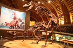 Rating: Explicit Score: 0 Tags: 3:2 bone dinosaur duo e621 female feral hi_res male male/female pelvis prehistoric_species proud reptile rib_cage saurischian scalie skeleton skull spine tail theropod tyrannosaurid tyrannosauroid tyrannosaurus tyrannosaurus_rex unknown_artist what_has_science_done User: bunchy7s Rating: Explicit Score: 0 Tags: 3:2 bone dinosaur duo e621 female feral hi_res male male/female pelvis prehistoric_species proud reptile rib_cage saurischian scalie skeleton skull spine tail theropod tyrannosaurid tyrannosauroid tyrannosaurus tyrannosaurus_rex unknown_artist what_has_science_done User: bunchy7s