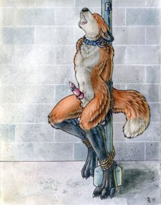 Rating: Explicit Score: 0 Tags: accessory animal_genitalia animal_penis anthro balls bdsm blue_collar bodily_fluids bondage bound canid canine canine_genitalia canine_penis cock_ring collar cum digitigrade e621 egg_vibrator ejaculation erection eyes_closed fox genital_fluids genitals hands-free jewelry knot male mammal masturbation multiple_cock_rings open_mouth orgasm penile penile_masturbation penis penis_accessory penis_jewelry pole ruaidri sex_toy sheath solo submissive submissive_male tail toying_self vibrator vibrator_on_penis User: bunchy7s