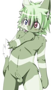 Rating: Explicit Score: 0 Tags: anthro arbre_(hane) biped blue_eyes dipstick_tail domestic_cat e621 erection felid feline felis foreskin fur genitals green_body green_fur green_hair green_penis green_tail hair hane heterochromia humanoid_genitalia humanoid_penis kemono looking_at_viewer male mammal markings multicolored_tail nude penis red_eyes shota simple_background solo standing striped_body striped_fur stripes tail tail_markings young young_anthro young_male User: bunchy7s