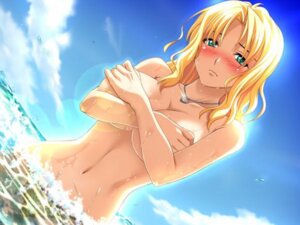 Rating: Explicit Score: 0 Tags: beach bikini_malfunction blonde_hair blush bomi censored convenient_censoring covering embarrassed enf enomoto_madoka erect_nipples female green_eyes jewelry lost_bikini mature necklace nipples no nude nude_cover ocean rule34 sea shy sim_love_~hitonatsu_no_kiseki~ source_request upset wet User: bunchy7s
