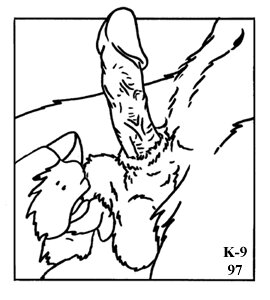 Rating: Explicit Score: 0 Tags: 1997 2d_animation ambiguous_gender animal_genitalia animated animated_gif anthro ball_fondling ball_lick balls black_and_white bouncing_balls duo e621 erection fondling genitals humanoid_genitalia humanoid_penis hybrid_genitalia hybrid_penis k-9 licking loop low_res male male/ambiguous mammal monochrome oral oral_only penis sex sheath short_playtime simple_animation simple_background sketch three-quarter_view tongue tongue_out watermark white_background User: bunchy7s