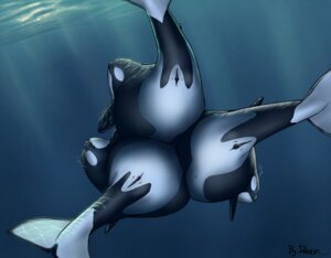 Rating: Explicit Score: 0 Tags: anatomically_correct animal_genitalia animal_vulva anus aquatic belly big_belly bubble cetacean cetacean_genitalia cetacean_vulva digital_media_(artwork) dolorcin dolphin e621 female feral genitals group light mammal mammary_slits oceanic_dolphin orca pregnant presenting slightly_chubby sunlight take_your_pick toothed_whale trio underwater vulva water User: bunchy7s
