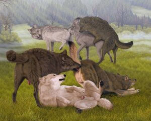Rating: Explicit Score: 0 Tags: ambiguous_gender ambiguous_penetrated ambiguous_penetration anal animal_genitalia ass_up backsack balls bodily_fluids butt canid canine canis cum detailed_background e621 ebon_lupus erection feral feral_on_feral feral_penetrated feral_penetrating feral_penetrating_feral forest from_behind_position genital_fluids genitals group group_sex intraspecies licking light male male/ambiguous male/male male_penetrated male_penetrating male_penetrating_male mammal nature northwestern_wolf nude oral orgy outside penetration penis penis_tip plant presenting presenting_hindquarters quadruped raised_leg raised_tail rimming rimming_while_penetrated sex sheath spread_legs spreading sunlight tail threesome tongue tongue_out tree wolf wolf_pack wood User: bunchy7s Rating: Explicit Score: 0 Tags: ambiguous_gender ambiguous_penetrated ambiguous_penetration anal animal_genitalia ass_up backsack balls bodily_fluids butt canid canine canis cum detailed_background e621 ebon_lupus erection feral feral_on_feral feral_penetrated feral_penetrating feral_penetrating_feral forest from_behind_position genital_fluids genitals group group_sex intraspecies licking light male male/ambiguous male/male male_penetrated male_penetrating male_penetrating_male mammal nature northwestern_wolf nude oral orgy outside penetration penis penis_tip plant presenting presenting_hindquarters quadruped raised_leg raised_tail rimming rimming_while_penetrated sex sheath spread_legs spreading sunlight tail threesome tongue tongue_out tree wolf wolf_pack wood User: bunchy7s