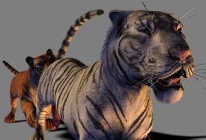 Rating: Explicit Score: 0 Tags: 2009 3d_(artwork) alpha_channel anal blue_eyes digital_media_(artwork) duo e621 erection felid feral feral_on_feral front-quarter_view front_view fur genitals leucistic male male/male male_penetrated male_penetrating male_penetrating_male mammal narrowed_eyes open_mouth oral orange_body orange_fur pantherine penetration penis raised_tail realistic_feral realistic_lighting realistic_shading rimming sex siberian_tiger simple_background spanking_(artist) tail three-quarter_view tiger tongue_showing transparent_background white_body white_fur User: bunchy7s