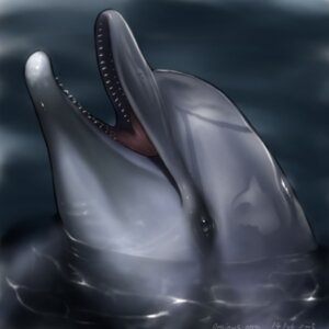 Rating: Safe Score: 0 Tags: 1:1 2005 ambiguous_gender aquatic cetacean detailed detailed_background dolphin e621 equus feral grey_body grey_skin head_out_of_water headshot_portrait icon mammal nude oceanic_dolphin partially_submerged photorealism portrait realistic solo toothed_whale water User: bunchy7s