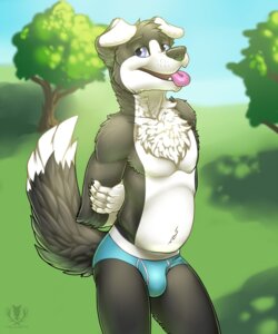 Rating: Questionable Score: 0 Tags: 2014 adam_(nh63879) anthro athletic athletic_anthro athletic_male biped black_nose blue_clothing blue_eyes blue_underwear border_collie briefs bulge canid canine canis chest_tuft claws clothing collie crossed_arms digital_media_(artwork) domestic_dog e621 fur hands_behind_back herding_dog hi_res looking_at_viewer male mammal open_mouth outside pastoral_dog plant portrait raised_tail sheepdog solo standing tail three-quarter_portrait tongue tongue_out tree tuft underwear vallhound User: bunchy7s