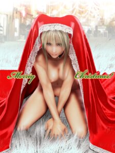 Rating: Explicit Score: 0 Tags: blonde_hair blue_eyes breasts choker christmas female female_only incise_soul kneeling lace m-rs nipples no_pussy novagina nude pussy rukia rule34 solo User: bunchy7s