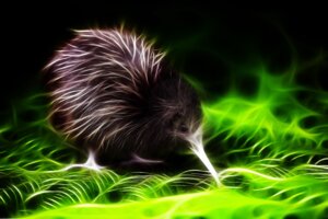 Rating: Safe Score: 0 Tags: ambiguous_gender avian beak bird black_body black_fur e621 feral fractal fur glowing grandfathered_content kiwi_(bird) pandapounce ratite solo User: bunchy7s Rating: Safe Score: 0 Tags: ambiguous_gender avian beak bird black_body black_fur e621 feral fractal fur glowing grandfathered_content kiwi_(bird) pandapounce ratite solo User: bunchy7s