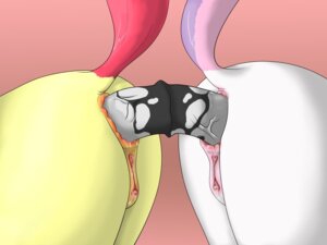 Rating: Explicit Score: 0 Tags: 4:3 anal anus apple_bloom_(mlp) bodily_fluids cum dildo duo e621 equid equine female feral friendship_is_magic fur genital_fluids genitals hasbro hi_res horse mammal my_little_pony pony sex_toy shoroch sweetie_belle_(mlp) veiny_dildo vulva wet young young_feral User: bunchy7s Rating: Explicit Score: 0 Tags: 4:3 anal anus apple_bloom_(mlp) bodily_fluids cum dildo duo e621 equid equine female feral friendship_is_magic fur genital_fluids genitals hasbro hi_res horse mammal my_little_pony pony sex_toy shoroch sweetie_belle_(mlp) veiny_dildo vulva wet young young_feral User: bunchy7s