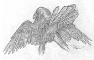 Rating: Explicit Score: 0 Tags: 2006 animal_genitalia avian avian_butt beak bird cloaca corvid corvus_(genus) crow dierdre_raven e621 feathered_wings feathers female feral genitals greyscale looking_back monochrome nude oscine passerine presenting presenting_cloaca raven rear_view rictal_bristles round_cloaca simple_background solo tail tail_feathers white_background windpaw wings User: bunchy7s