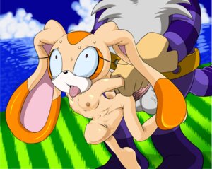Rating: Explicit Score: 0 Tags: abdominal_bulge anthro arm_pull balls big_penis big_the_cat bodily_fluids cream_the_rabbit domestic_cat dominant duo e621 erection faceless_character faceless_male felid feline felis female female_penetrated flat_chested from_behind_position genitals huge_penetration huge_penis hyper hyper_genitalia hyper_penis kandlin lagomorph larger_dom larger_male leporid male male/female male_penetrating male_penetrating_female mammal nipples open_mouth outside penetration penile penile_penetration penis penis_shaped_bulge prison_guard_position rabbit sega sex size_difference smaller_female smaller_penetrated sonic_the_hedgehog_(series) source_request standing sweat tongue tongue_out wide_eyed young young_anthro young_female User: bunchy7s