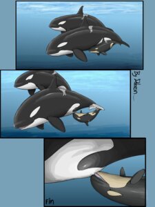 Rating: Questionable Score: 0 Tags: 3:4 aquatic breastfeeding cetacean comic dolorcin dolphin e621 family female feral group hi_res mammal oceanic_dolphin orca toothed_whale User: bunchy7s