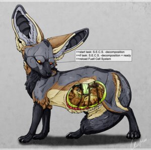 Rating: Explicit Score: 0 Tags: bat-eared_fox canid canine claws cutaway dialogue digital_media_(artwork) duo e621 english_text feral fox full-length_portrait imminent_digestion inside internal male mammal oliverfox portrait programming quadruped side_view size_difference soft_vore tail text vore User: bunchy7s Rating: Explicit Score: 0 Tags: bat-eared_fox canid canine claws cutaway dialogue digital_media_(artwork) duo e621 english_text feral fox full-length_portrait imminent_digestion inside internal male mammal oliverfox portrait programming quadruped side_view size_difference soft_vore tail text vore User: bunchy7s