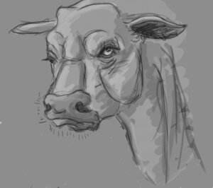 Rating: Safe Score: 0 Tags: ambiguous_gender bovid bovine cattle detailed e621 feral frown gdane greyscale looking_at_viewer mammal monochrome realistic simple_background solo User: bunchy7s