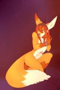 Rating: Explicit Score: 0 Tags: 2011 2:3 anthro beanie big_ears biped bracelet brick brick_wall brown_body brown_fur canid canine clothing dipstick_ears dipstick_tail e621 ear_markings ear_piercing erection fox fur furgonomics genitals gloves_(marking) green_eyes hair hat headgear headwear humanoid_genitalia humanoid_penis jewelry kneeling leg_markings long_hair looking_aside male mammal markings mostly_nude multicolored_ears multicolored_tail orange_body orange_fur patto penis piercing socks_(marking) solo tail tail_markings wall_(structure) User: bunchy7s