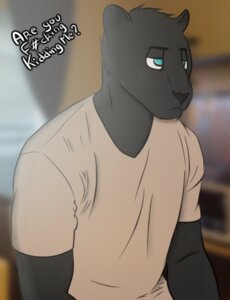 Rating: Safe Score: 0 Tags: 2013 annoyed anthro black_body black_fur blue_eyes clothing digital_media_(artwork) e621 english_text felid felix.h fur half-closed_eyes half-length_portrait jaguar male mammal melanistic narrowed_eyes pantherine portrait profanity shirt solo tan_clothing tan_topwear text topwear unimpressed User: bunchy7s