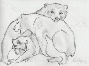 Rating: Explicit Score: 0 Tags: 2011 all_fours ambiguous_gender ambiguous_penetration balls bear doggystyle e621 eyes_closed fellatio feral feral_on_feral from_behind_position genitals greyscale group group_sex long_tongue lying male mammal monochrome nude on_front oral oral_penetration penetration penile penis sex simple_background sketch spera spitroast threesome tongue tongue_out trio white_background User: bunchy7s Rating: Explicit Score: 0 Tags: 2011 all_fours ambiguous_gender ambiguous_penetration balls bear doggystyle e621 eyes_closed fellatio feral feral_on_feral from_behind_position genitals greyscale group group_sex long_tongue lying male mammal monochrome nude on_front oral oral_penetration penetration penile penis sex simple_background sketch spera spitroast threesome tongue tongue_out trio white_background User: bunchy7s