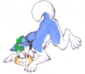 Rating: Questionable Score: 0 Tags: 4_toes 5_fingers all_fours anthro ass_up bdsm biped blue_body blue_fur bowl canid canine canis claws collar container domestic_dog e621 feet fingers fur green_eyes green_hair hair husky licking licking_lips licking_own_lips looking_aside looking_at_viewer male mammal nordic_sled_dog nude pet_bowl petplay raised_tail roleplay ryaku self_lick short_hair simple_background solo spitz tail toes tongue tongue_out unknown_artist white_background white_body white_fur User: bunchy7s