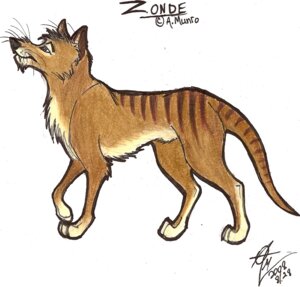 Rating: Safe Score: 0 Tags: 2008 brown_body brown_fur character_name dasyuromorph dated digitigrade e621 english_text feral fuchsia_(furaffinity) fur hi_res male mammal marsupial quadruped recently_extinct_species side_view signature simple_background solo stripes tail text thylacine whiskers white_background zonde User: bunchy7s
