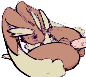 Rating: Explicit Score: 0 Tags: anthro ass brown_fur buggery color female fur furry furry_ass furry_ears lagomorph long_ears lopunny male nintendo pokemon pokemon_(species) pussy rabbit rule34 straight User: bunchy7s Rating: Explicit Score: 0 Tags: anthro ass brown_fur buggery color female fur furry furry_ass furry_ears lagomorph long_ears lopunny male nintendo pokemon pokemon_(species) pussy rabbit rule34 straight User: bunchy7s