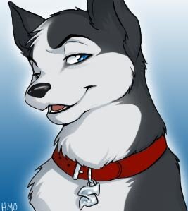 Rating: Safe Score: 0 Tags: bedroom_eyes blue_eyes bust_portrait canid canine canis collar domestic_dog e621 half-closed_eyes holly_marie_ogburn husky low_res male mammal narrowed_eyes nordic_sled_dog one_eye_closed portrait red_collar seductive sibe smile solo spitz wink User: bunchy7s Rating: Safe Score: 0 Tags: bedroom_eyes blue_eyes bust_portrait canid canine canis collar domestic_dog e621 half-closed_eyes holly_marie_ogburn husky low_res male mammal narrowed_eyes nordic_sled_dog one_eye_closed portrait red_collar seductive sibe smile solo spitz wink User: bunchy7s