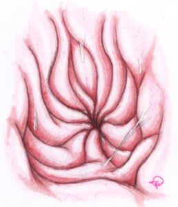 Rating: Questionable Score: 0 Tags: ambiguous_gender anatomy bodily_fluids close-up colored_pencil_(artwork) detailed_internal e621 esophageal_sphincter forceswerwolf inside_stomach internal low_res organs pink_body pink_skin saliva signature simple_background solo stomach traditional_media_(artwork) unseen_pred vore white_background User: bunchy7s Rating: Questionable Score: 0 Tags: ambiguous_gender anatomy bodily_fluids close-up colored_pencil_(artwork) detailed_internal e621 esophageal_sphincter forceswerwolf inside_stomach internal low_res organs pink_body pink_skin saliva signature simple_background solo stomach traditional_media_(artwork) unseen_pred vore white_background User: bunchy7s