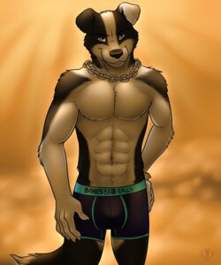 Rating: Questionable Score: 0 Tags: 2013 abs anthro biceps big_muscles biped black_body black_clothing black_fur black_nose black_underwear blake_tucano blue_eyes border_collie boxer_briefs bulge canid canine canis chain chest_tuft claws clothed clothing collar collie digital_media_(artwork) domestic_dog e621 front_view fur grin herding_dog hi_res looking_at_viewer male mammal muscular muscular_anthro muscular_male pastoral_dog paws pecs portrait pose presenting sheepdog simple_background smile solo standing tail three-quarter_portrait topless tucpile tuft underwear vallhound waiting white_body white_fur User: bunchy7s