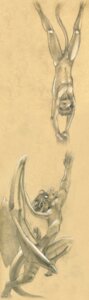 Rating: Explicit Score: 0 Tags: 2012 anthro balls circumcised domestic_cat dragon duo e621 eyes_closed falling felid feline felis flaccid genitals graphite_(artwork) hi_res humanoid_genitalia humanoid_penis male mammal membrane_(anatomy) membranous_wings monochrome muscular mythological_creature mythological_scalie mythology nude open_mouth penis scalie sepia simple_background spread_legs spreading tail traditional_media_(artwork) tush_(artist) upside_down wings User: bunchy7s