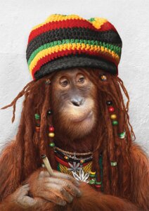 Rating: Safe Score: 0 Tags: ape beads colorful_theme dreadlocks drugs e621 haplorhine male mammal marijuana orangutan photo_manipulation primate rasta solo third-party_edit yulia_malanina User: bunchy7s