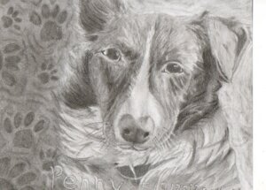 Rating: Safe Score: 0 Tags: 2012 abstract_background ambiguous_gender black_eyes canid canine canis domestic_dog e621 feral footprint front_view fur graphite_(artwork) greyscale headshot_portrait looking_at_viewer mammal monochrome pawprint portrait quadruped recreationbeast simple_background solo text traditional_media_(artwork) whiskers User: bunchy7s