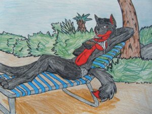 Rating: Safe Score: 0 Tags: 4:3 alashion_(fursona) anthro bikini black_body black_fur breasts canid canine canis chair clothed clothing crayon_(artwork) crossgender dipstick_tail e621 ear_piercing female fur furniture lounge_chair mammal marker_(artwork) markings mixed_media piercing skimpy solo swimwear tail tail_markings tight_clothing traditional_media_(artwork) two-piece_swimsuit wolf zowolf28 User: bunchy7s