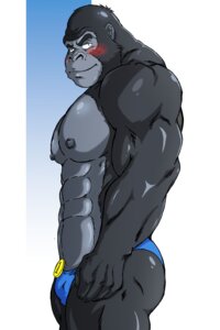 Rating: Questionable Score: 0 Tags: 2013 2:3 abs anthro ape biceps big_muscles biped blush brandon_summers bulge clothed clothing e621 funeral-paws fur gorilla haplorhine hi_res looking_at_viewer male mammal muscular muscular_anthro muscular_male nipples pecs pose primate smile solo speedo standing swimwear topless User: bunchy7s