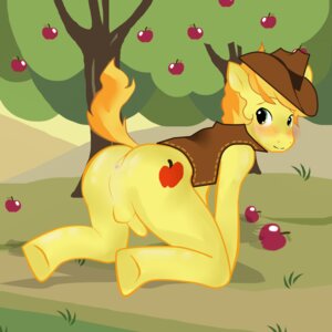 Rating: Explicit Score: 0 Tags: 1:1 anthro anthrofied anus apple apple_tree backsack balls blush bottomless braeburn_(mlp) butt clothed clothing cowboy_hat cutie_mark digital_media_(artwork) e621 earth_pony equid equine erection food friendship_is_magic fruit fruit_tree genitals green_eyes hasbro hat headgear headwear horse looking_at_viewer male mammal mane my_little_pony penis plant pony presenting presenting_hindquarters shaded solo syaokitty tail tree wood User: bunchy7s