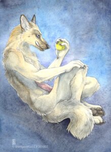 Rating: Explicit Score: 0 Tags: 2010 animal_genitalia animal_penis anthro ball canid canine canine_genitalia canine_penis canis domestic_dog e621 erection genitals german_shepherd herding_dog holding_ball holding_object knot male mammal nude pastoral_dog penis shinigamigirl solo tail tennis_ball User: bunchy7s Rating: Explicit Score: 0 Tags: 2010 animal_genitalia animal_penis anthro ball canid canine canine_genitalia canine_penis canis domestic_dog e621 erection genitals german_shepherd herding_dog holding_ball holding_object knot male mammal nude pastoral_dog penis shinigamigirl solo tail tennis_ball User: bunchy7s